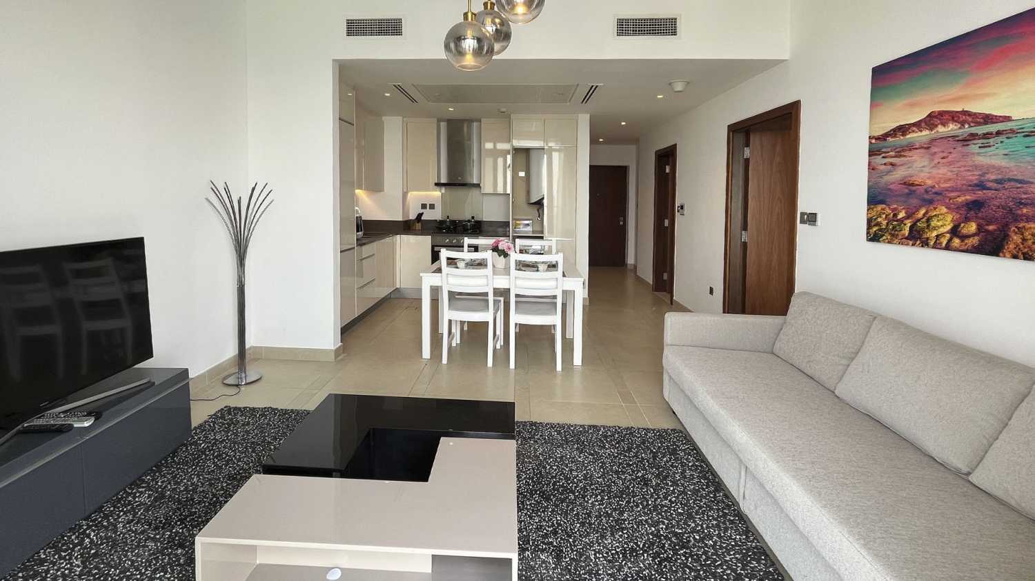 1-bedroom apartment-0-3