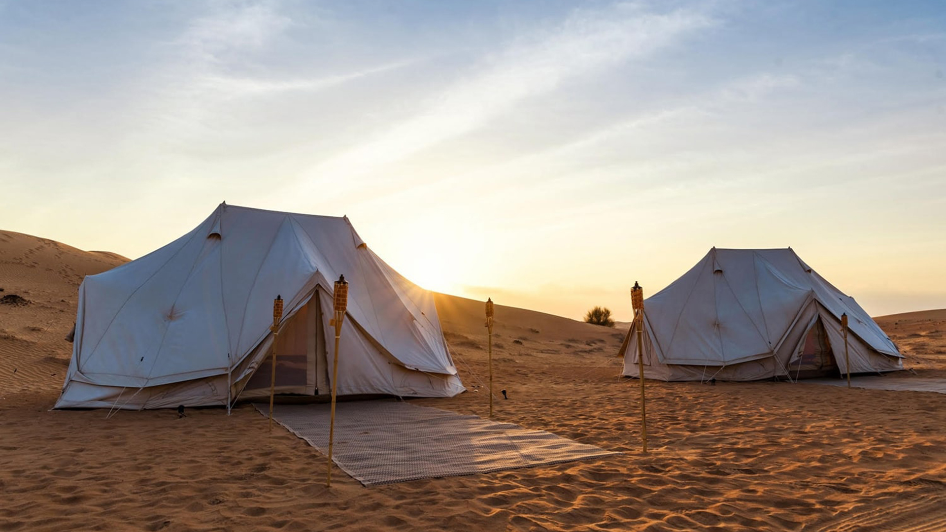 how-to-get-to-dubai-marina-and-what-to-see-there